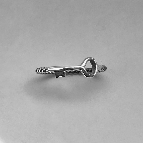 Sterling silver key ring with twist band, key ring, silver key ring, dainty ring - Picture 6 of 8